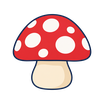 Un bolet