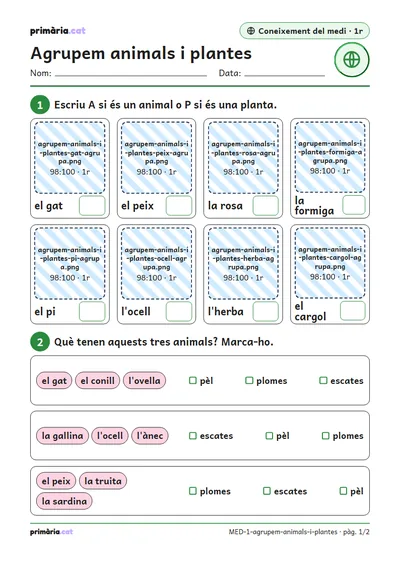 Pàgina 1 de 2: Agrupem animals i plantes