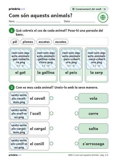 Pàgina 1 de 2: Com són aquests animals?