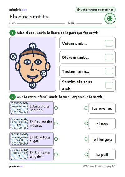 Pàgina 1 de 2: Els cinc sentits