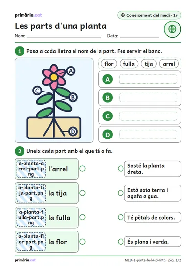 Pàgina 1 de 2: Les parts d'una planta