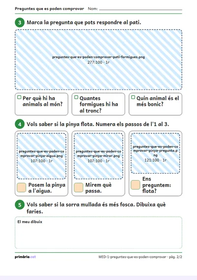 Pàgina 2 de 2: Preguntes que es poden comprovar