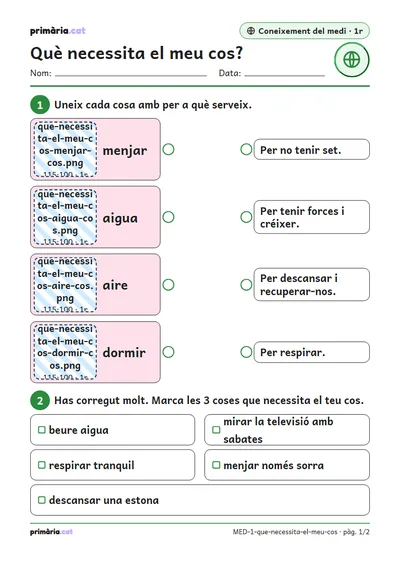 Pàgina 1 de 2: Què necessita el meu cos?