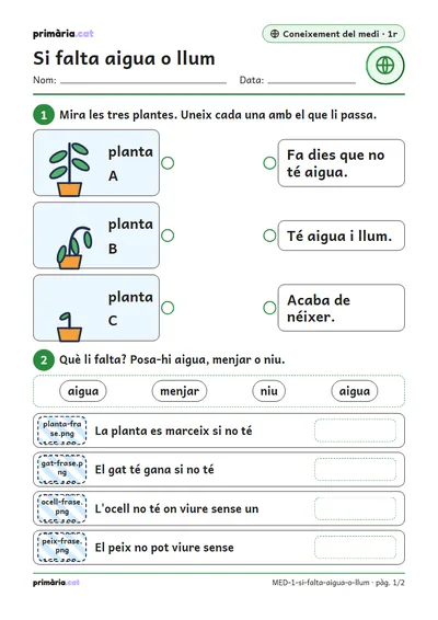 Pàgina 1 de 2: Si falta aigua o llum
